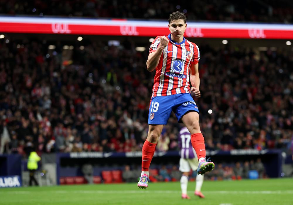 菜鸟魔仙哥 菜鸟魔仙哥